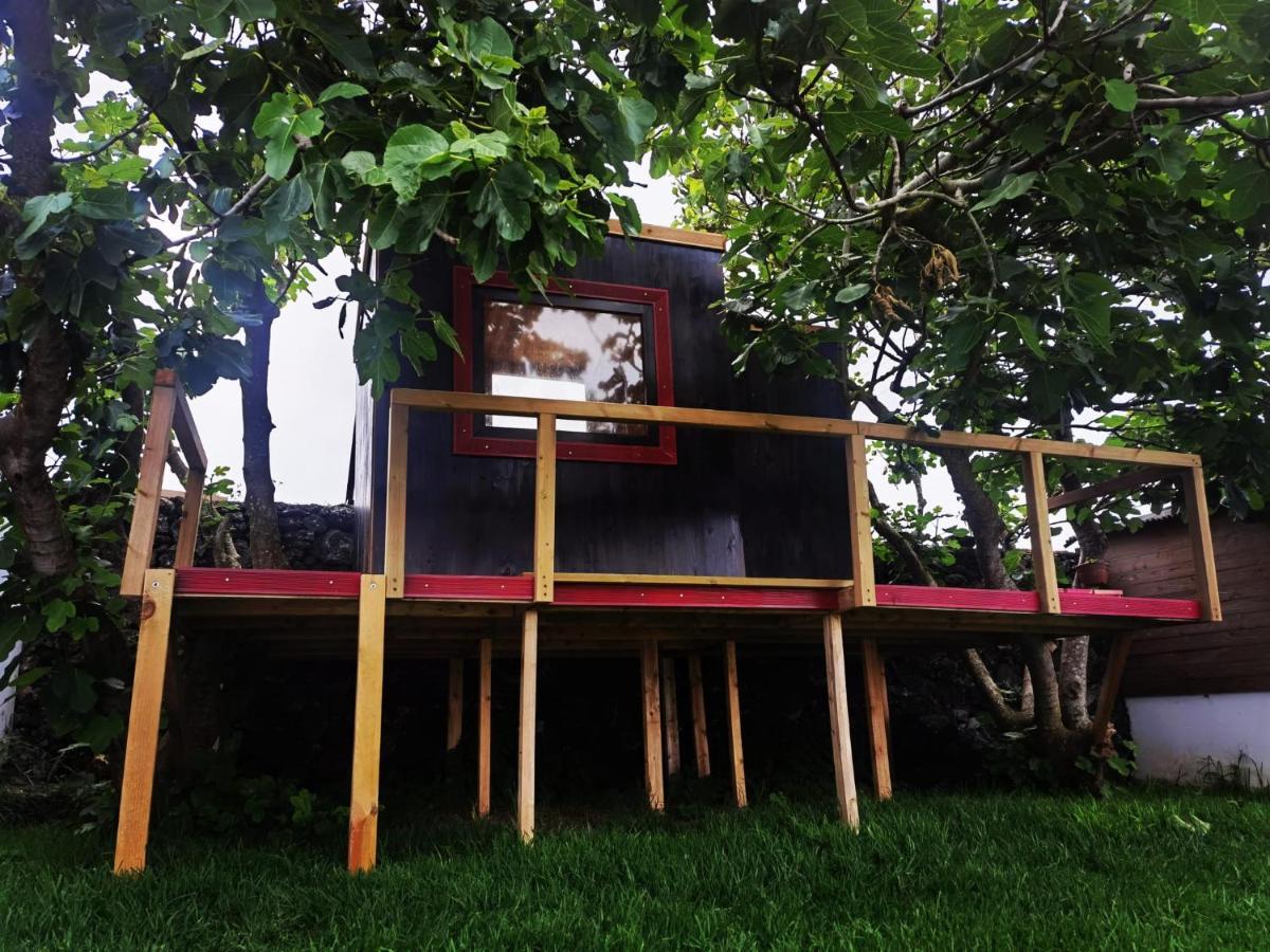 Azores Cow House Calhetas Екстер'єр фото
